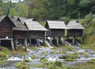 The People’s Plea and the Sultan’s Refusal