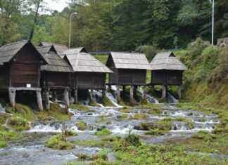 Said Pasha An Honest Man in a Corrupt System